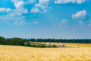 Canvas Print - Landscape with the image of a field