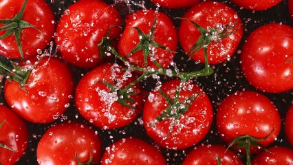 Wall Mural - Super slow motion of falling cherry tomatoes with water splashes. Filmed on high speed cinema camera,