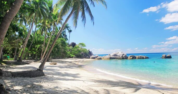 Fototapete - beach and coconut palm trees. Koh Tao, Thailand
