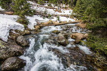 Stream In The Forest, Spring, High Tatras, Slovakia, Europe