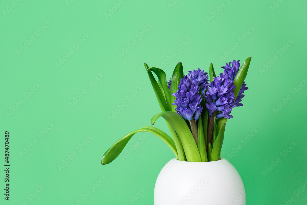 Vase with beautiful flowers on green background