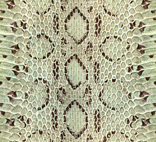 Snake Skin Texture Pattern Seamless
