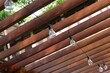 lighs hanging on wood roof
