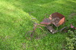 old bicycle on green grass