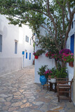 Fototapeta Uliczki - Ano Koufonisi island, Greece. Building,  tree,  blooming flower in pot, empty street. Vertical
