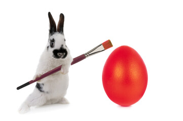 Wall Mural - easter bunny with a brush paints an easter red egg