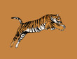 Jumping Tiger, retro graphic print, fashion drawing for t shirt	