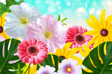 Natural Floral Background. Bright And Colorful Flowers.