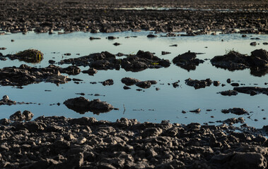 Canvas Print - View of the field in flood.