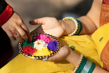 Hands of two Beautiful young woman or girl holding color or colour or gulal or abeer or Holi powder arranged in a decorated plate to celebrate holi festival of colors