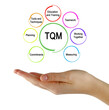 © Dmitry - Components of Total quality management (TQM)