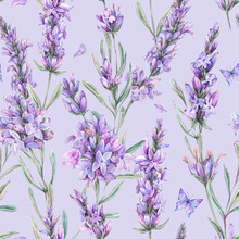 Watercolor Lavender Flowers Natural Seamless Pattern In Vintage Style. Lilac Botanical Texture