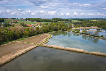 Wall Mural - Drone photo of fishing ponds in Miedzyrzecze Gorne, small village in Silesia region of Poland