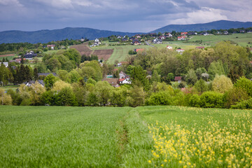 Wall Mural - Rural landscape in Miedzyrzecze Gorne, small village in Silesia region of Poland