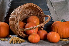 Pumpkin Pouring Out Of A Basket On A Rustic Table