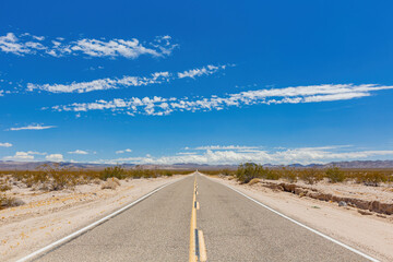 Canvas Print - Sunny view of the desert landscape