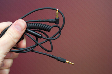 Wall Mural - black headphone audio cable with gold lugs in hand