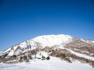 伊吹山三合目付近から見上げた景色