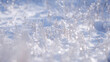 Frozen winter trees in tundra