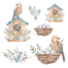 Bird, Nest, Blue Flowers, Daisies, Birdhouse, Spring Greenery, Leaves, Spikelet. Watercolor Easter Spring Clipart