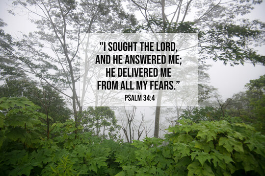 Wall Mural -  - Bible verse inspirational quote - I sought the lord, and He answered me, He delivered me from all my fears. Psalm 34:4 With green forest background on a misty morning.