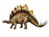 Fototapeta Dinusie - Stegosaurus, herbivore dinosaur