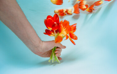 Wall Mural - Hand holding bouquet of tulip flowers underwater