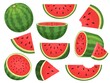 Cartoon fresh green open watermelon half, slices and triangles. Red watermelon piece with bite. Sliced cocktail water melon fruit vector set
