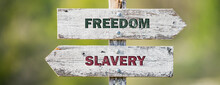 Opposite Signs On Wooden Signpost With The Text Quote Freedom Slavery Engraved. Web Banner Format.