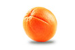 Photo of closeup isolated juicy fruit orange isolated on white background with shadow
