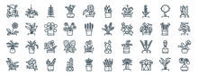 Set Of 40 Outline Web Indoor Plants Icons Such As String Of Heart, Gerbera Daisy, Sago Palm, Pacova, Jade, Snake Plant, Aloe Vera Icons For Report, Presentation, Diagram, Web Design, Mobile App