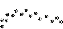 Tracks Of Cat Or Dog Tracks, Footprint, Design. Footprints Of Cat, Turn Right And Left. Vector Illustration.