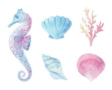 Sea Animals Set Watercolor. Shell Aquarium Background. Marine Illustration, Jellyfish, Starfish