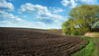 lines of plowed field and green tree on the side spring time