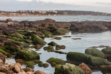 Close-up Stone Seashore With A Huge Amount Of Green Algae