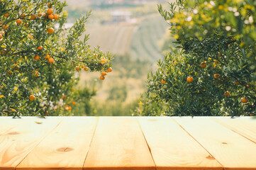 Wall Mural - Empty wood table with free space over orange trees, orange field background. For product display montage