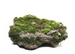 Green moss on stone, isolated on white 