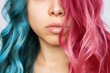 Close-up of the wavy half pink and half blue hair of a young woman isolated on a white background. Result of coloring, highlighting, perming. Bright saturated extravagant color. Beauty and fashion