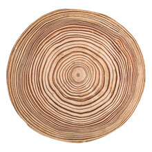Cut, Slice, Section Of Larch Tree Wood Isolated On A White Background.  Macro Shot Of A Cut Tree With Annual Rings. Stump, Trunk Of An Old Tree.