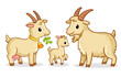 A family of goats stands on a white background. Vector illustration with farm animals
