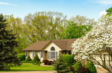 View Of Midwestern Ranch Style House In Residential Neighborhood On Sunny Spring Day ; Blooming White Dogwood Tree On Foreground