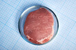 GMO meat in a Petri Dish - photo on a graph paper. Artificial meat in Petri Dish. Flat Petri glass dish is laying on millimeter grid page. Sample of fake chemical vegan food. Pork meat imitation.