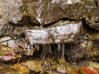 Poster - Small icicle small by running water on a stone.