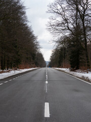 Poster - A smooth road through a peaceful winter park