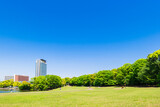 Fototapeta Londyn - 青空が広がる公園広場