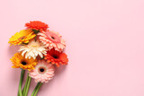 Beautiful colorful gerbera flowers on pink background, flat lay. Space for text