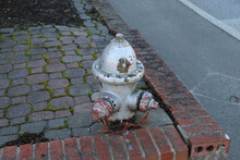 A Shot Of A Silver Fire Hydrant Surrounded By A Red Brick Side Walk On A Corner Near The Street In Douglasville Georgia USA