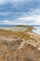 Wall Mural - Brittany, panorama of the Morbihan gulf, view from the Ile aux Moines, seascape at low tide 
