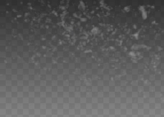 Wall Mural - Vector snowfall isolated. Winter background. Snow overlay illustration. Snowflakes and ice.