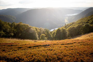 Mountain landscape during autumn fall with lake and forest at Balveurches peak in the Massif des Vosges France